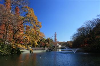 井の頭公園の風景
