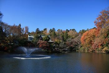 井の頭公園の風景