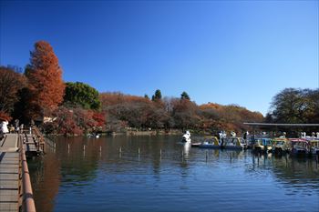 井の頭公園の風景