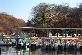 井の頭公園の風景