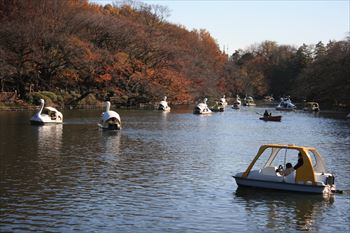 井の頭公園の風景