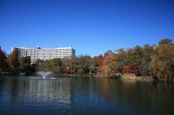 井の頭公園の風景