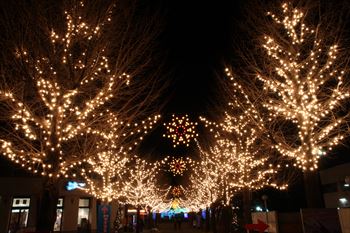 としまえんの風景