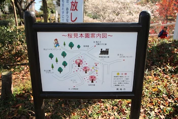桜見本園の画像
