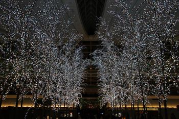 羽田空港の風景