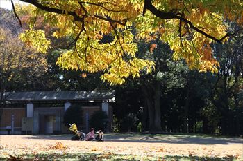 砧公園の風景