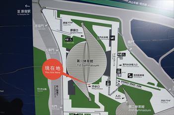 国立代々木競技場の風景