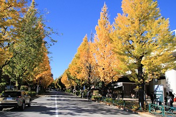 千駄ヶ谷駅前の画像