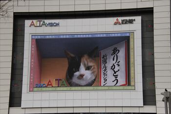 新宿アルタの風景