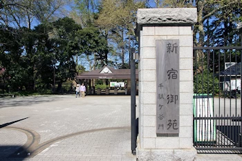 新宿御苑の画像