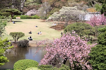 新宿御苑の風景