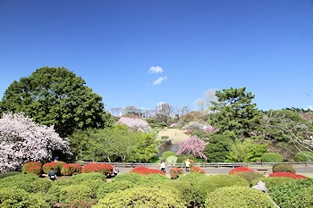 新宿御苑の風景