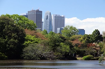 新宿御苑の風景