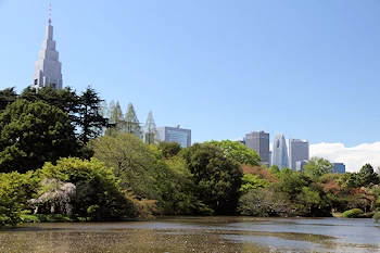 新宿御苑の風景