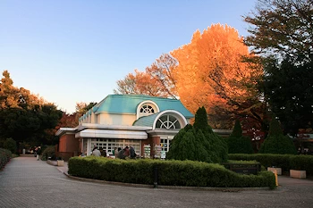 新宿御苑の風景