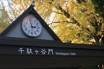 新宿御苑の風景