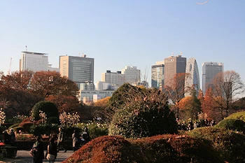 新宿御苑の風景