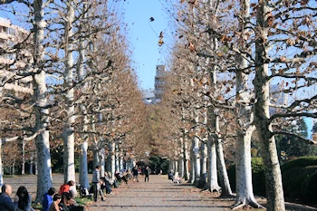 新宿御苑の風景