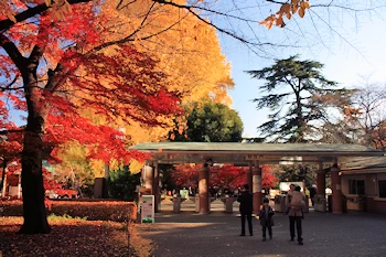 新宿御苑の風景