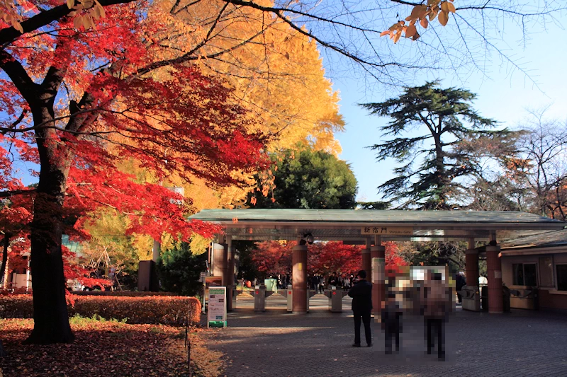 新宿御苑の風景