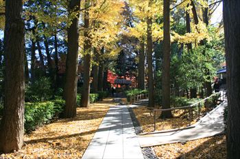 大田黒公園の風景