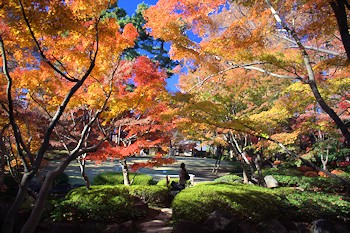 大田黒公園の風景