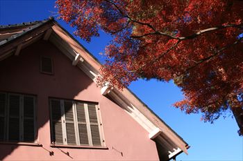 大田黒公園の風景