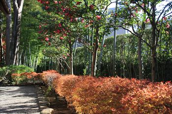 大田黒公園の風景