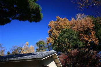 大田黒公園の風景