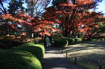 大田黒公園の風景