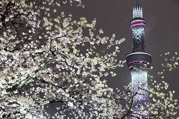隅田公園の風景