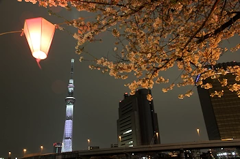 隅田公園の風景
