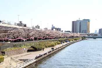 隅田公園の風景
