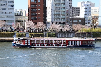 隅田公園の風景