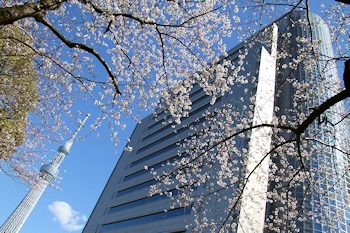 隅田公園の風景