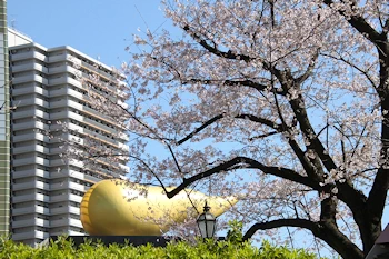 隅田公園の風景