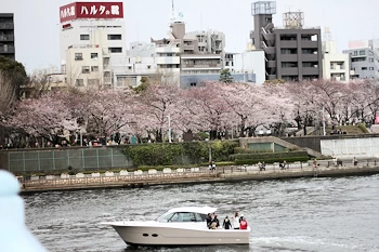 隅田公園の風景