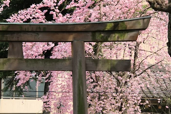 隅田公園の風景