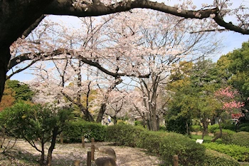 隅田公園の風景