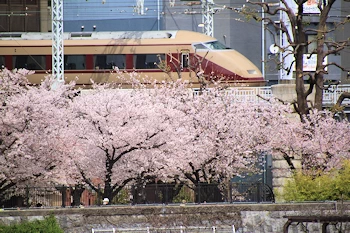 隅田公園の風景