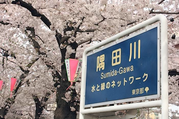 隅田公園の風景