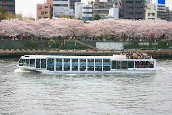 隅田公園の風景