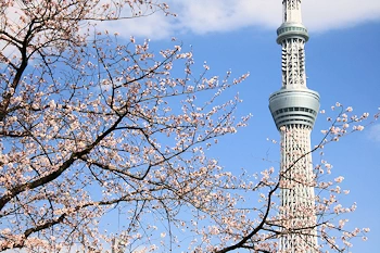 隅田公園の風景