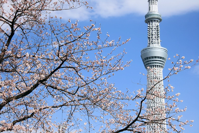 隅田公園の風景