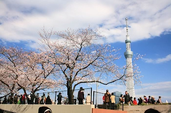 隅田公園の風景