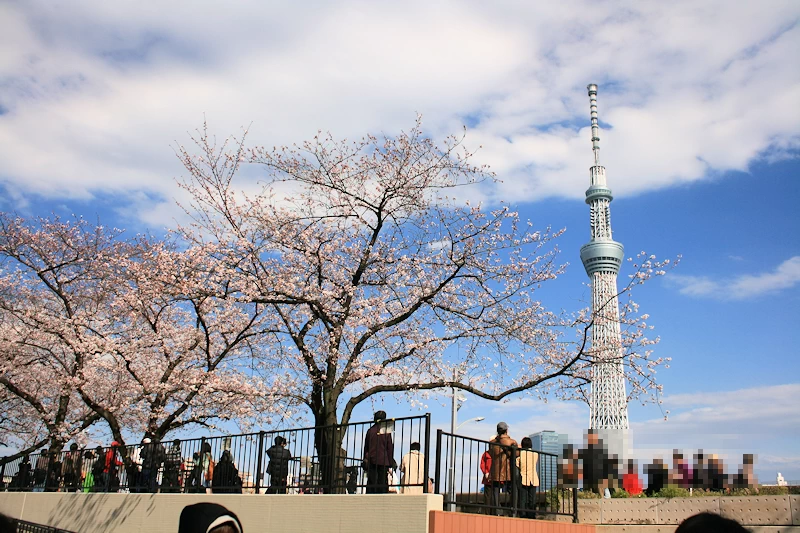 隅田公園の風景