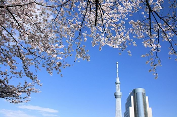隅田公園の風景
