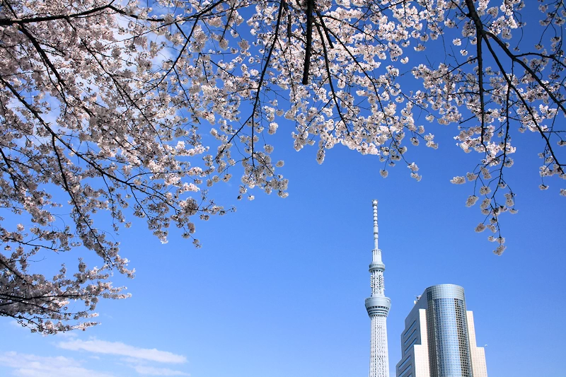 隅田公園の風景