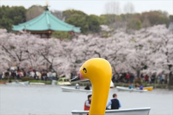上野公園の風景