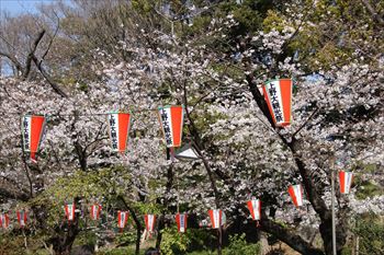上野公園の風景